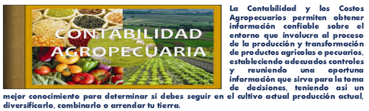 Carátula