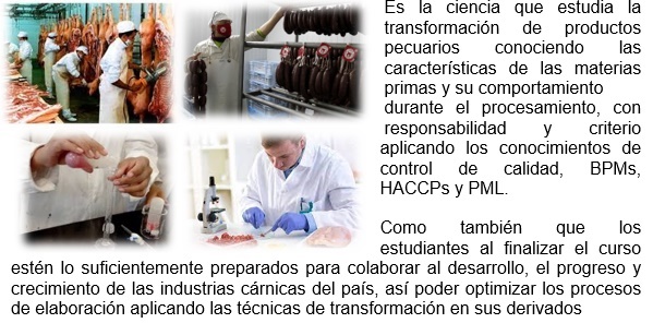 CARATULA DE TECNOLOGIA